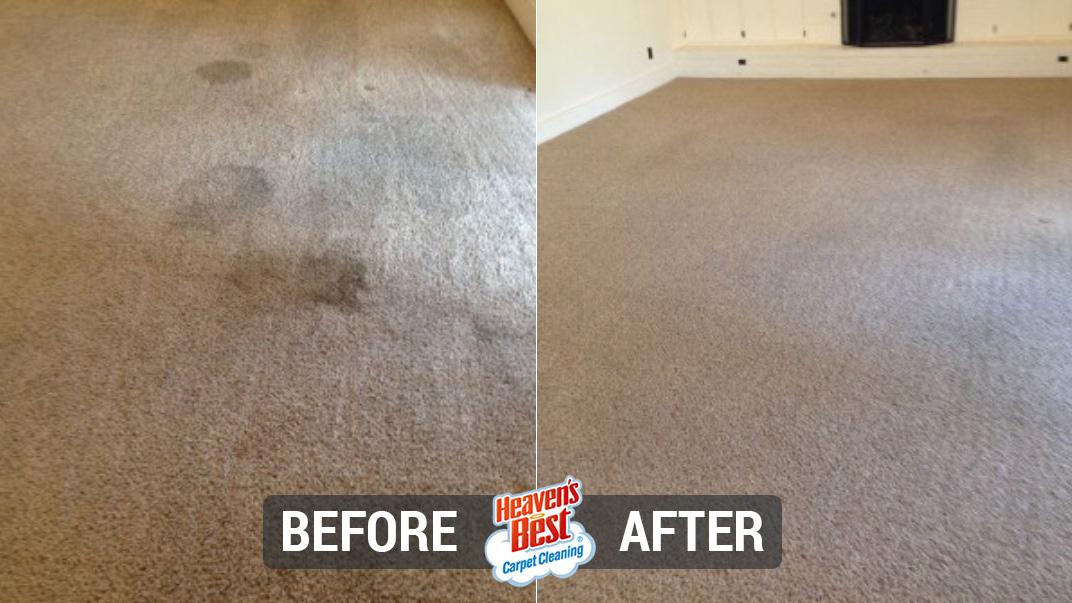 Heaven's Best Carpet Cleaning of Davenport