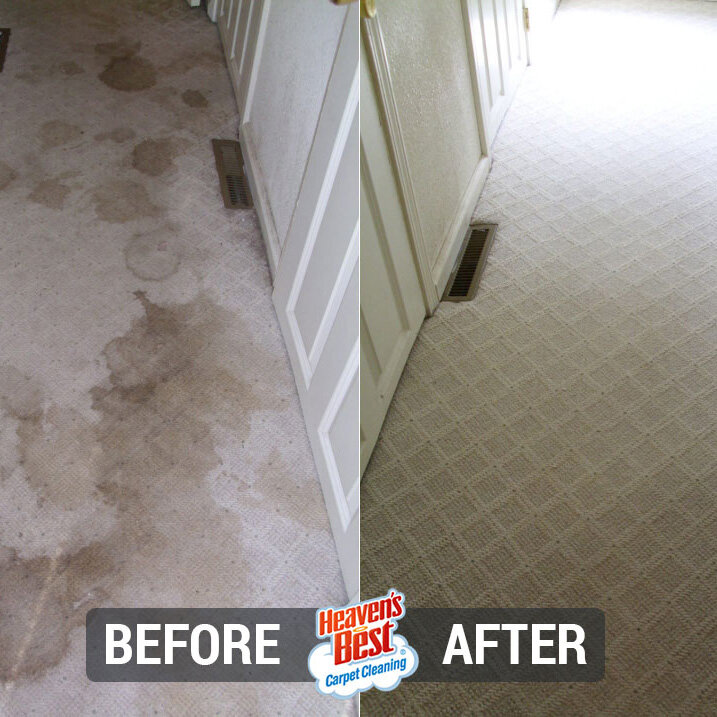 Heaven's Best Carpet Cleaning of Davenport